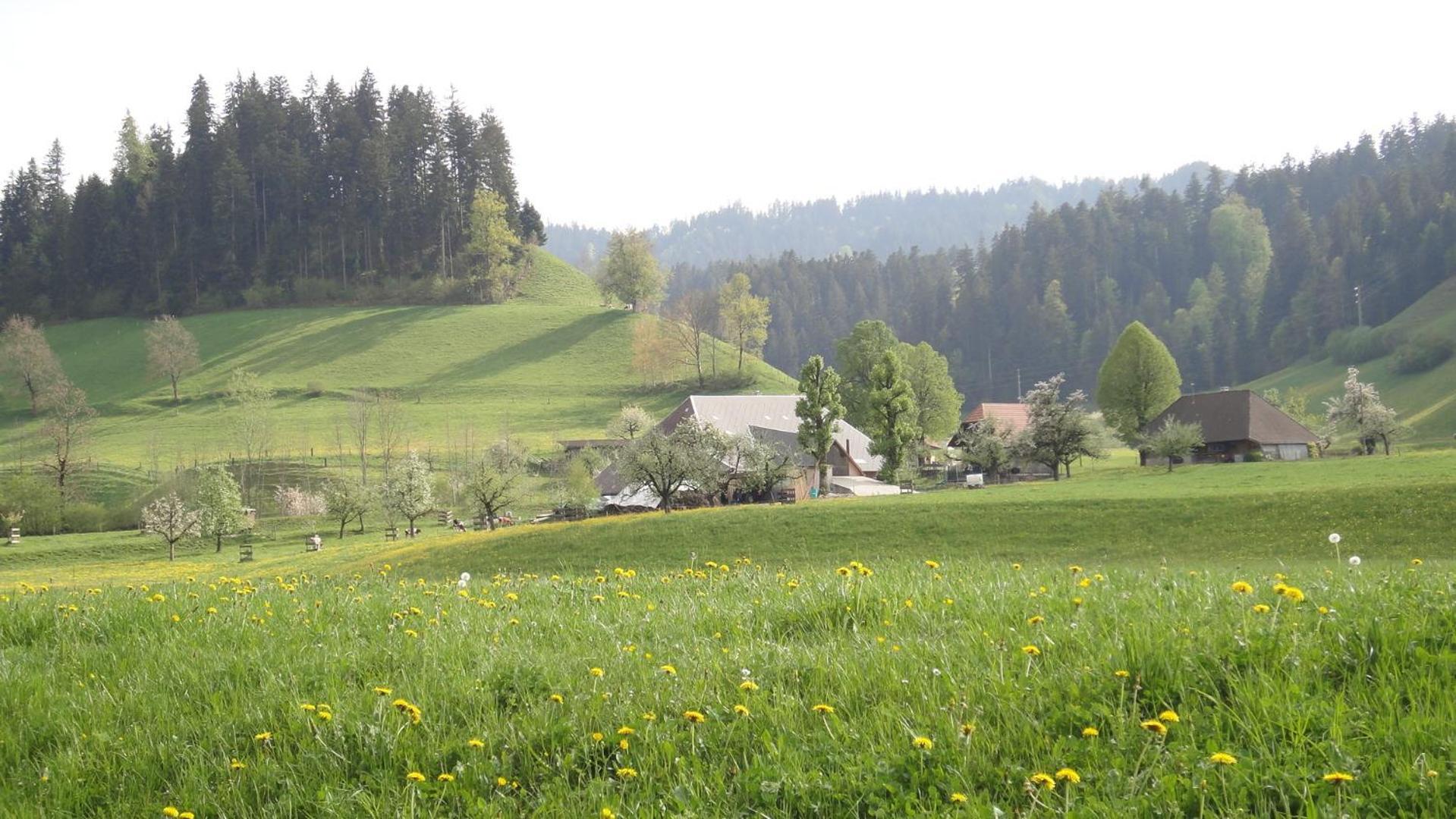 Landgasthof-Hotel Adler Langnau Exterior photo